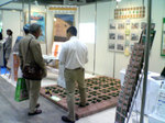 ƑW2007P